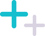 Section 2 Plus Icon