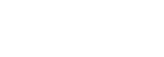 FlashGrid