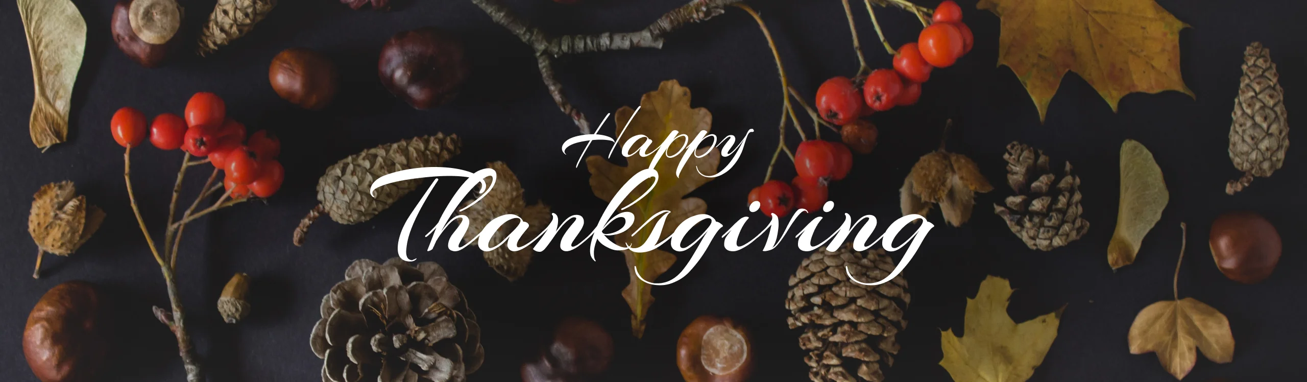Happy Thanksgiving!